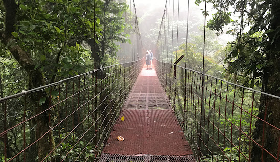 Costa Rica Bridge